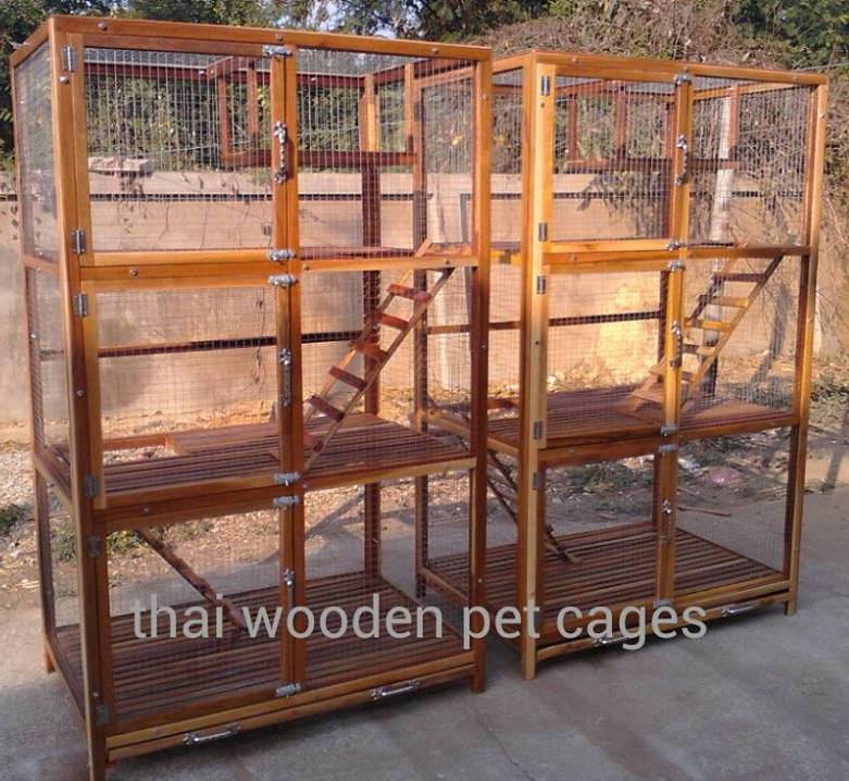 กรงแมวทรงสูง