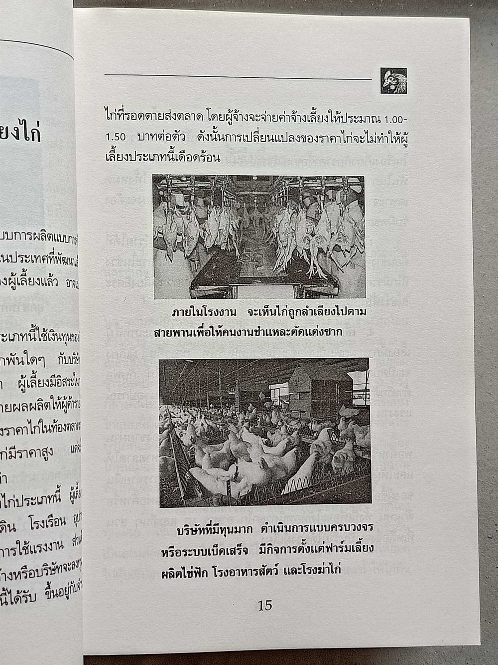 หนังสือมือสอง 137 "ความรู้เกี่ยวกับการเลี้ยงไก่เนื้อ" โครงการหนังสือเกษตรชุมชน ความหนา 95 หน้า