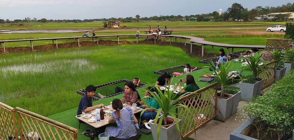 ตาข่ายตกแต่งร้าน ขนาดเชือก2มม.ตา 1.5 ซม.