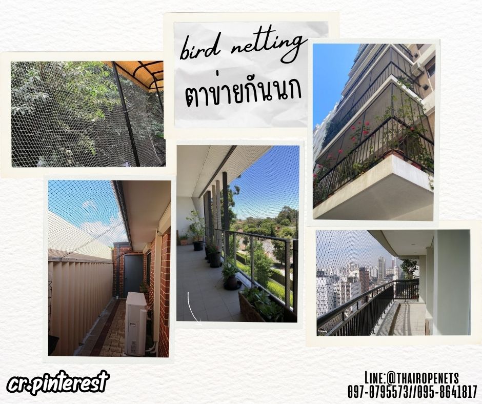 ตาข่ายกันนก ดักนก bird netting สีดำ เชือกหนา 1 มิล ช่องตา1x1 นิ้ว ตาข่ายกันนกเข้าแปลงผัก เข้าอาคาร ทำตามขนาดที่ต้องการ