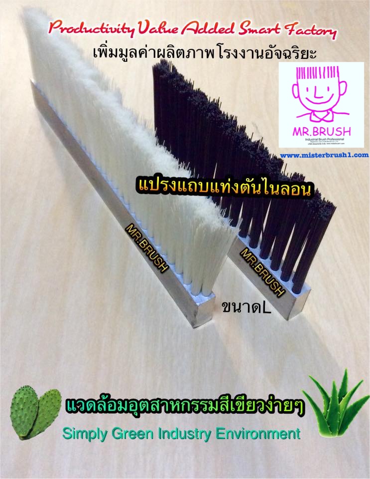 แปรงแถบแท่งตันไตรวิศวะ