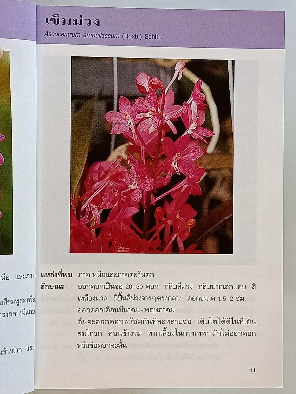 หนังสือมือสอง 214 คู่มือคนรักต้นไม้"กล้วยไม้ไทย" ให้ข้อมูลโดยละเอียดในการปลูกพืชกล้วยไม้ ความหนา 94 หน้า