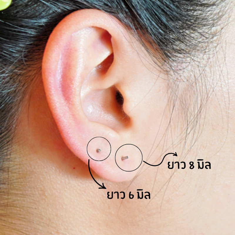 แป้นแบนขันน็อต รูปทรงต่างๆ สำหรับจิวเอียดอท FB (เฉพาะแป้น) ราคาต่อข้าง