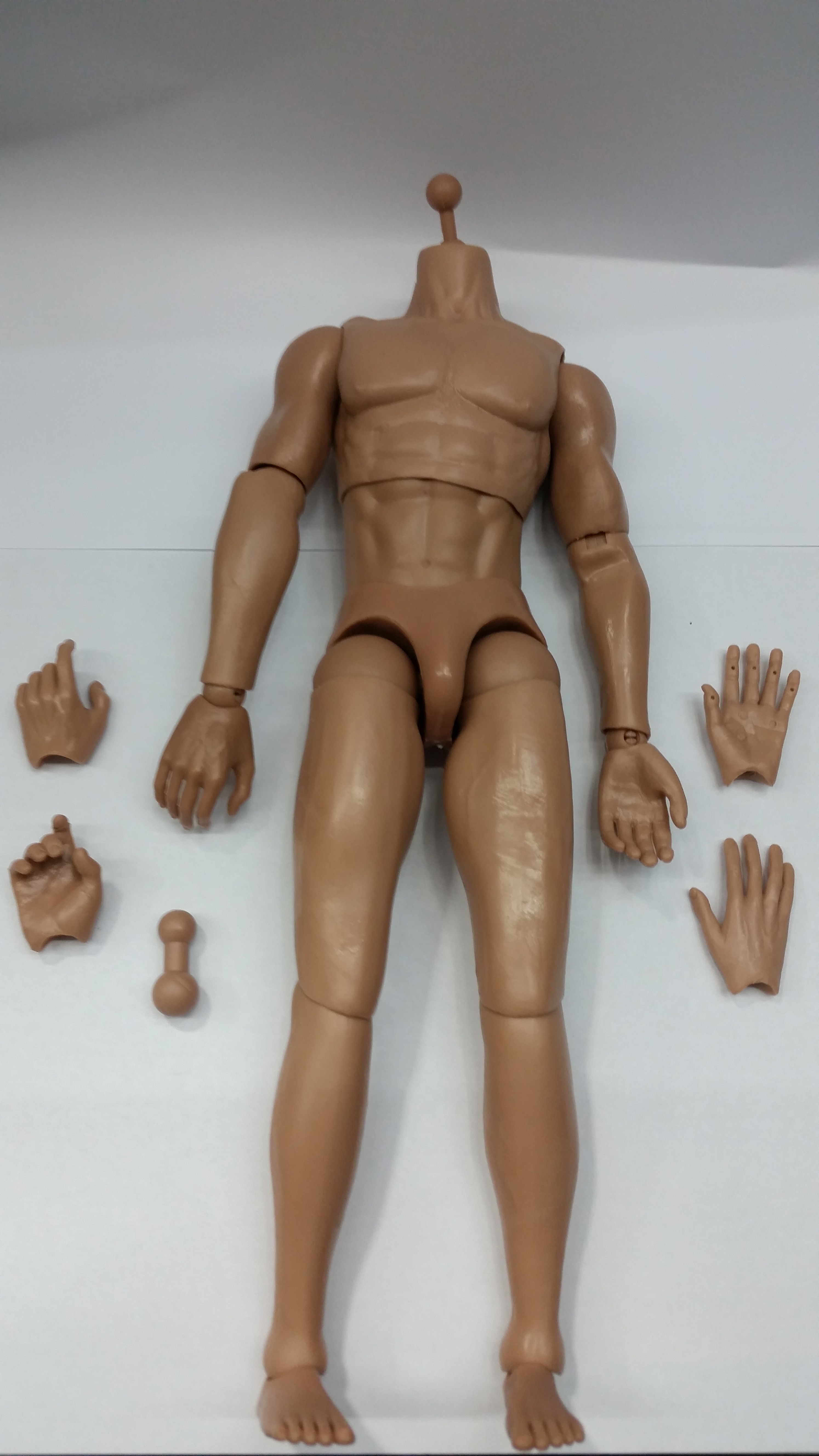 1/6 Muscular Male body no.8