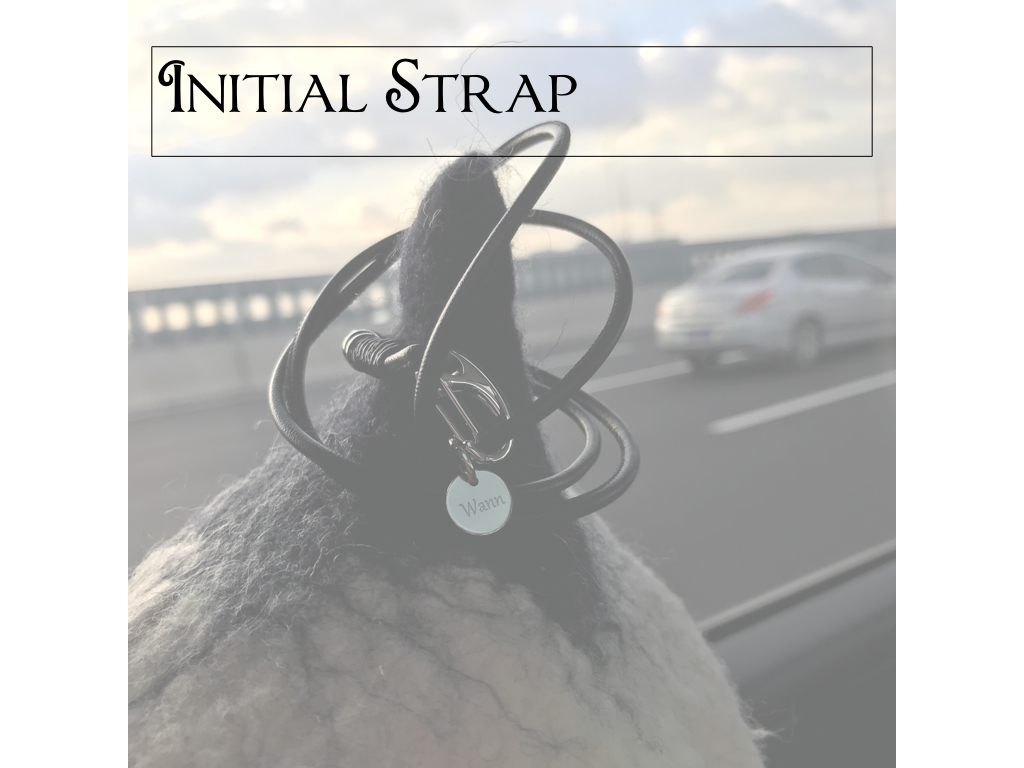 Initial Strap