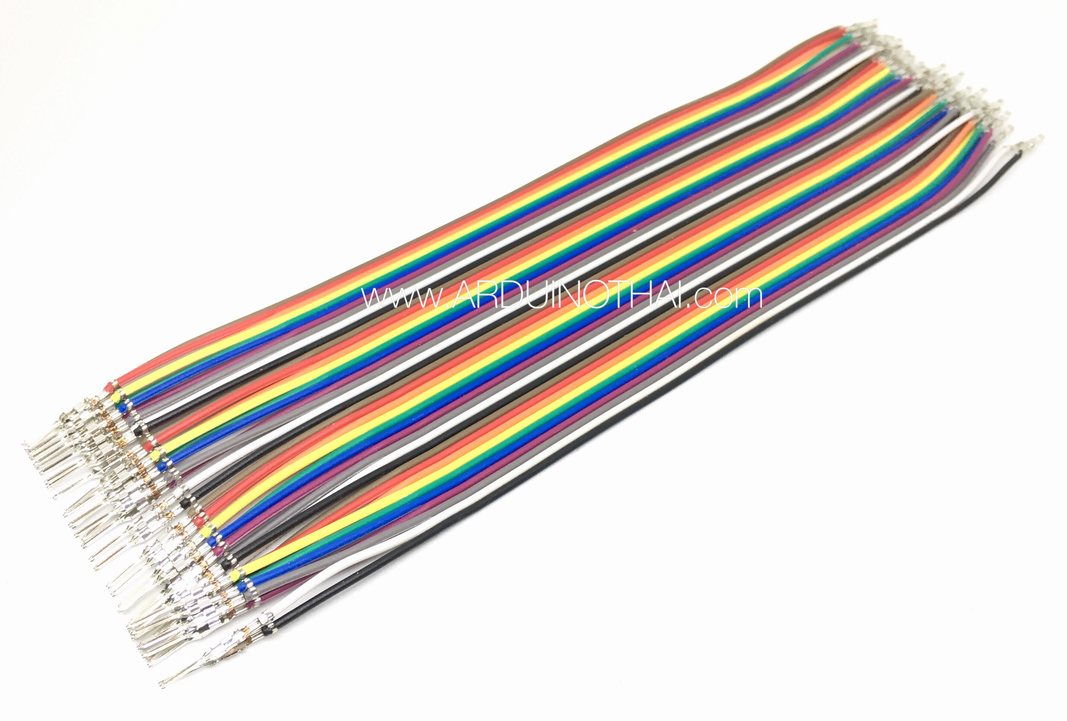Jump Wire สายจั๊ม ผู้-เมีย Male to Female ยาว 20 cm. จำนวน 40 เส้น สต็อกไทยส่งไว