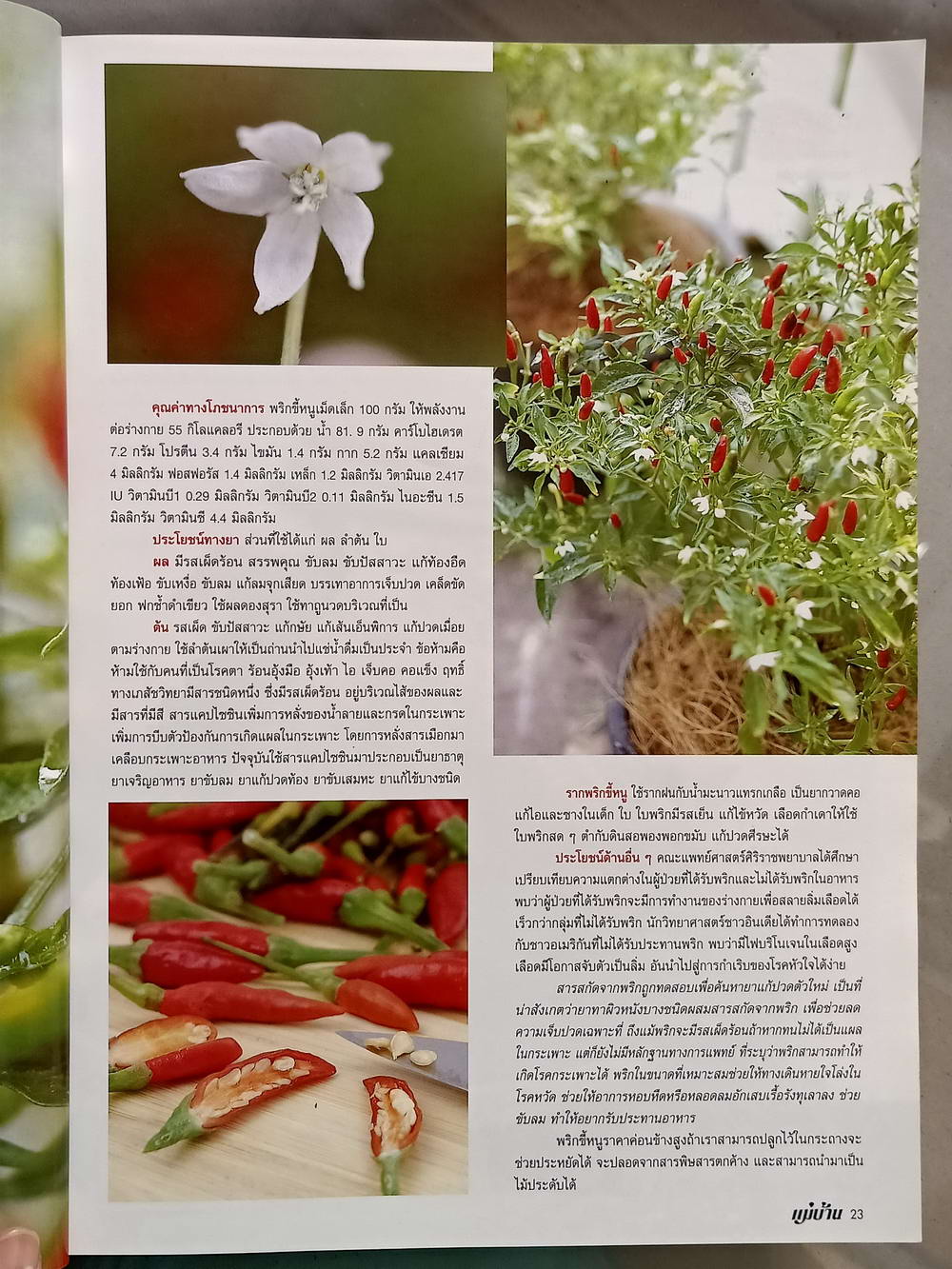 หนังสือมือสอง 053 นิตยสารแม่บ้าน ปีที่ 34 ฉบับที่ 442 ประจำเดือนมีนาคม 2549 ความหนา 138 หน้า