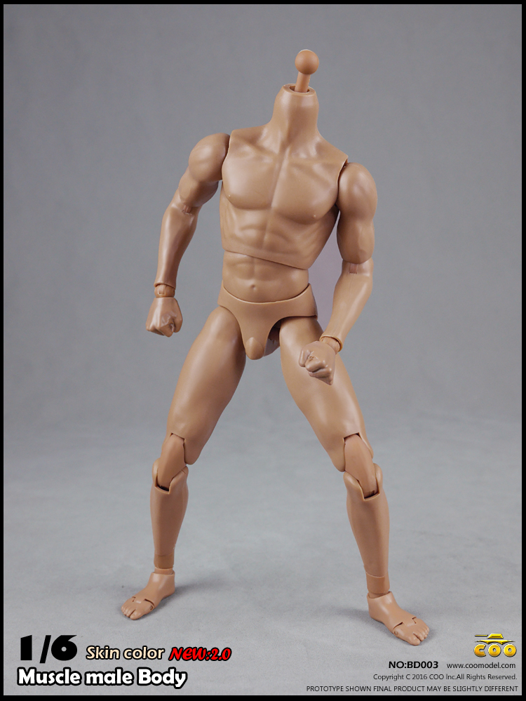 COOMODEL BD003, BD004 Muscle male Body 2.0