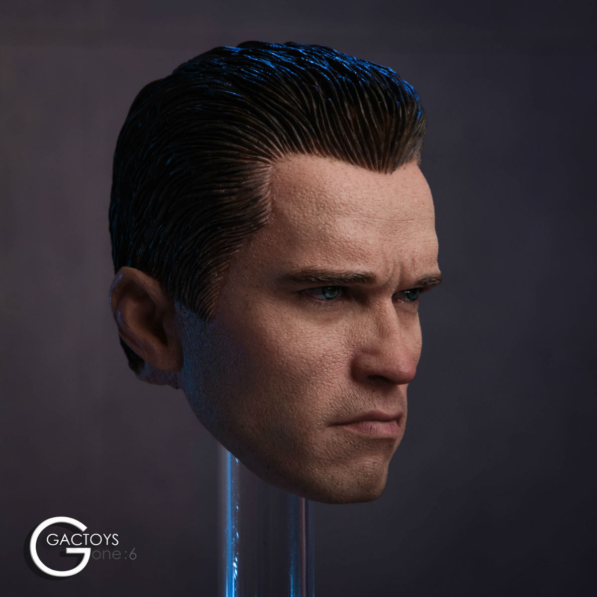 GACTOYS GC016 American male headsculpt