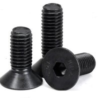 สกรูหัวเทเปอร์สีดำ Screw Flat M6 / ชิ้น