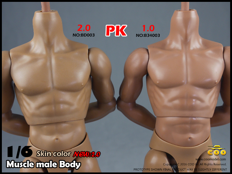 COOMODEL BD001, BD002 Narrow shoulders male Body 2.0