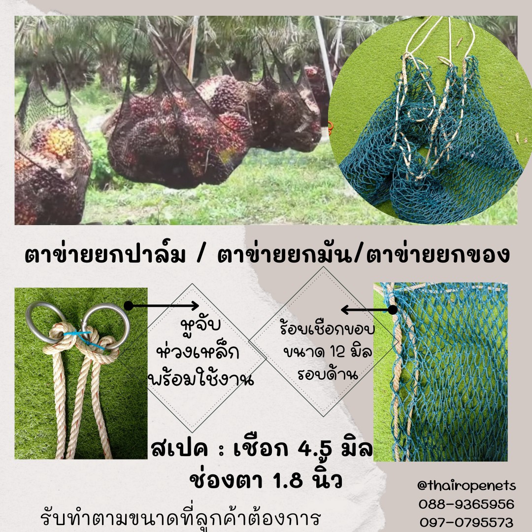 ตาข่ายยกมัน ตาข่ายยกของ ตาข่ายยกปาล์ม ตาข่ายเกษตรกร ตาข่ายอุตสาหกรรม ตาข่ายเอนกประสงค์ พร้อมหูจับใส่ห่วง 2 ข้าง
