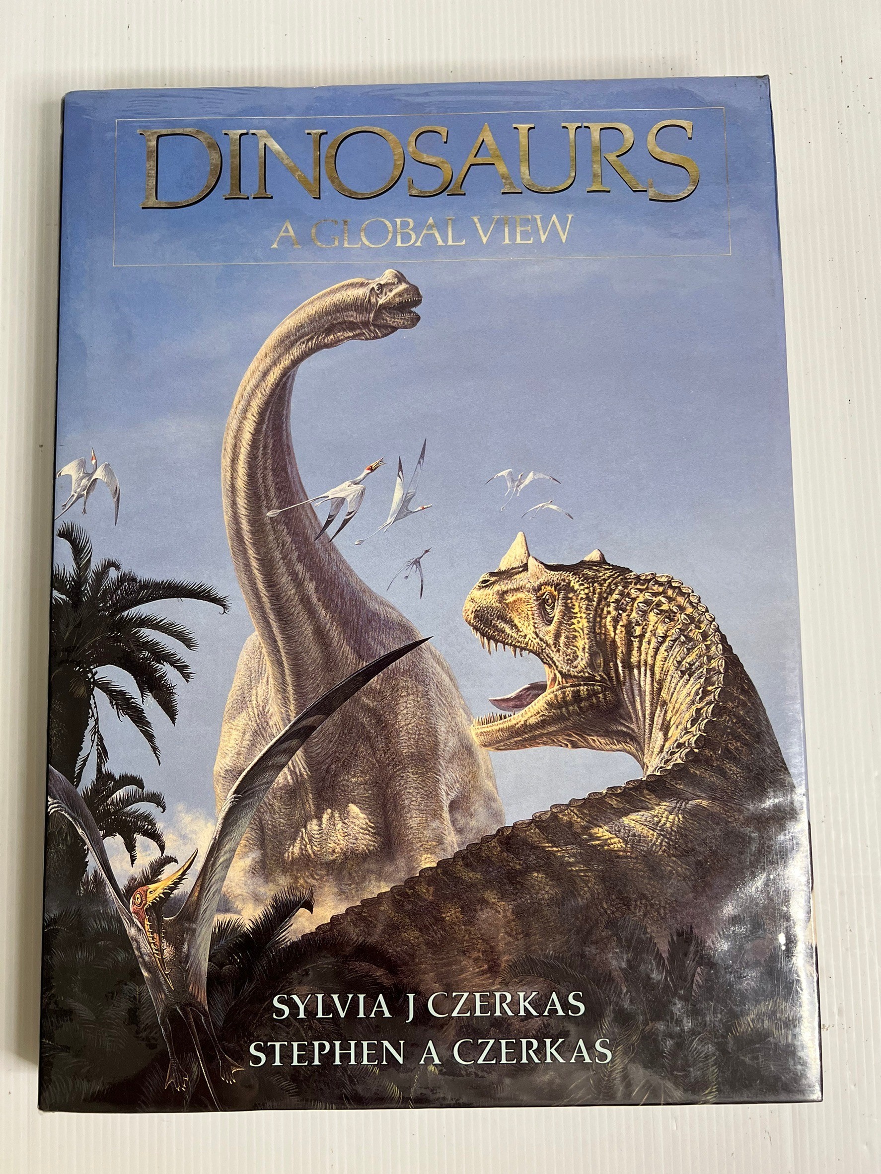 Dinosaurs: a Global View Sylvia and Stephen Czerkas January 1, 1996 90-99% Hardcover