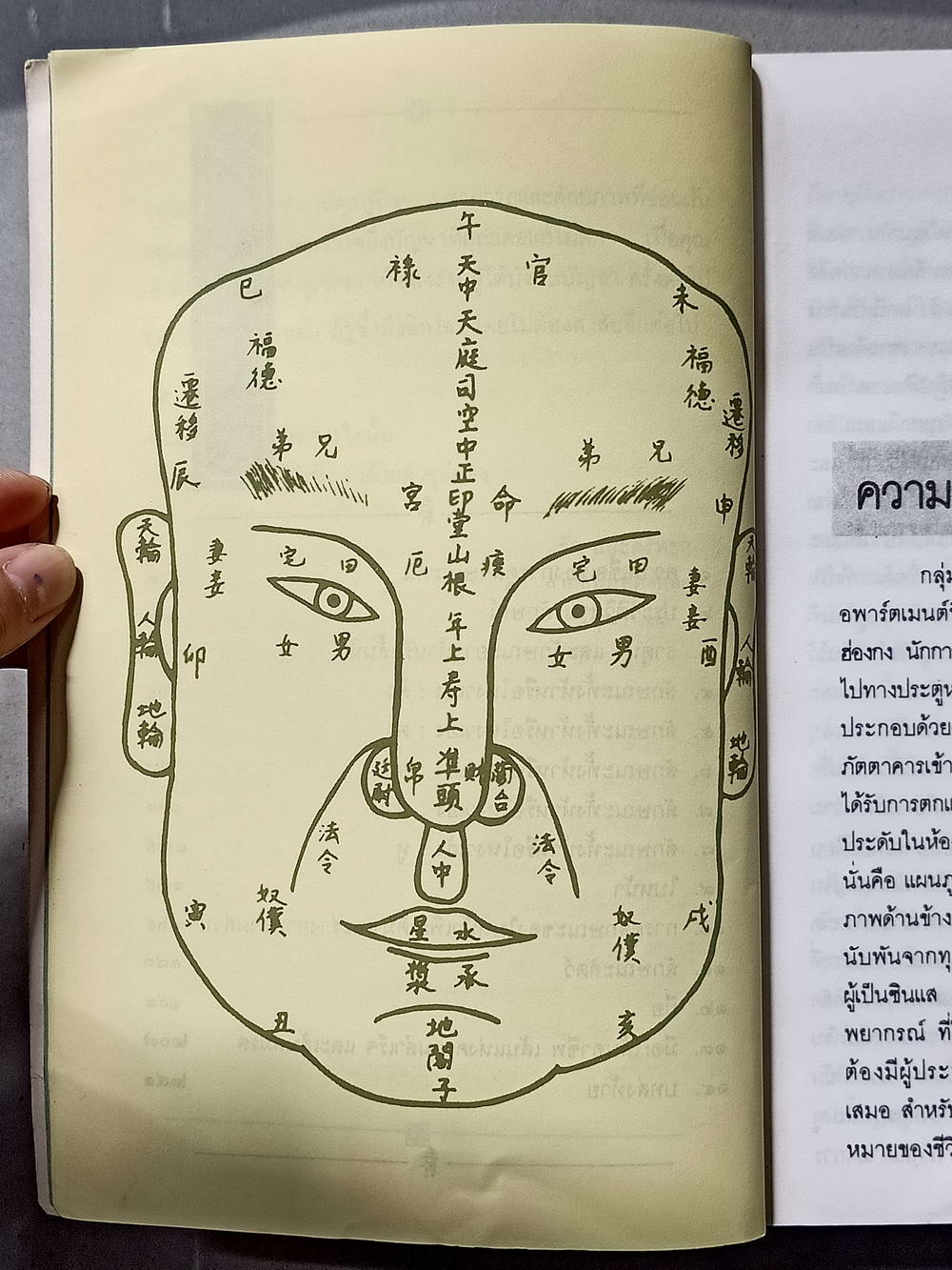 หนังสือมือสอง 005 โหงวเฮ้ง วิชานรลักษณ์; ศาสตร์แห่วการทำนายบุคลิกลักษณะ ความหนา 243 หน้า หนังสือเล่มนี้ ขายแล้ว