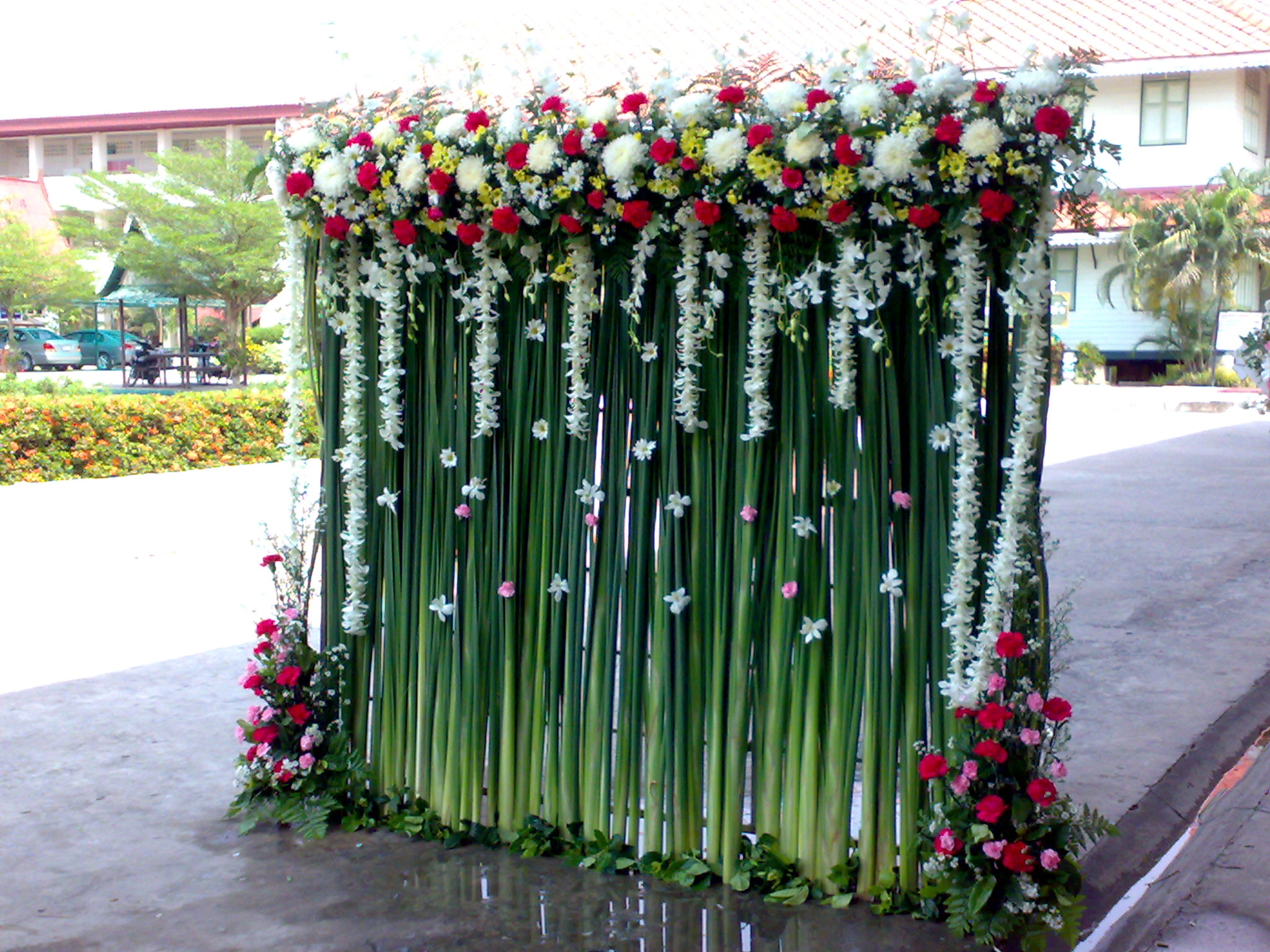 ซุ้มดอกไม้สดถ่ายรูป