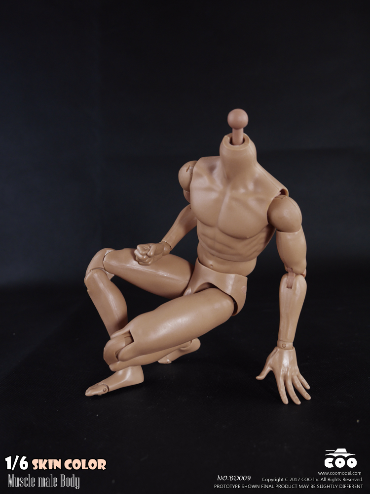 COOMODEL BD009 Standard Muscle Arm Body