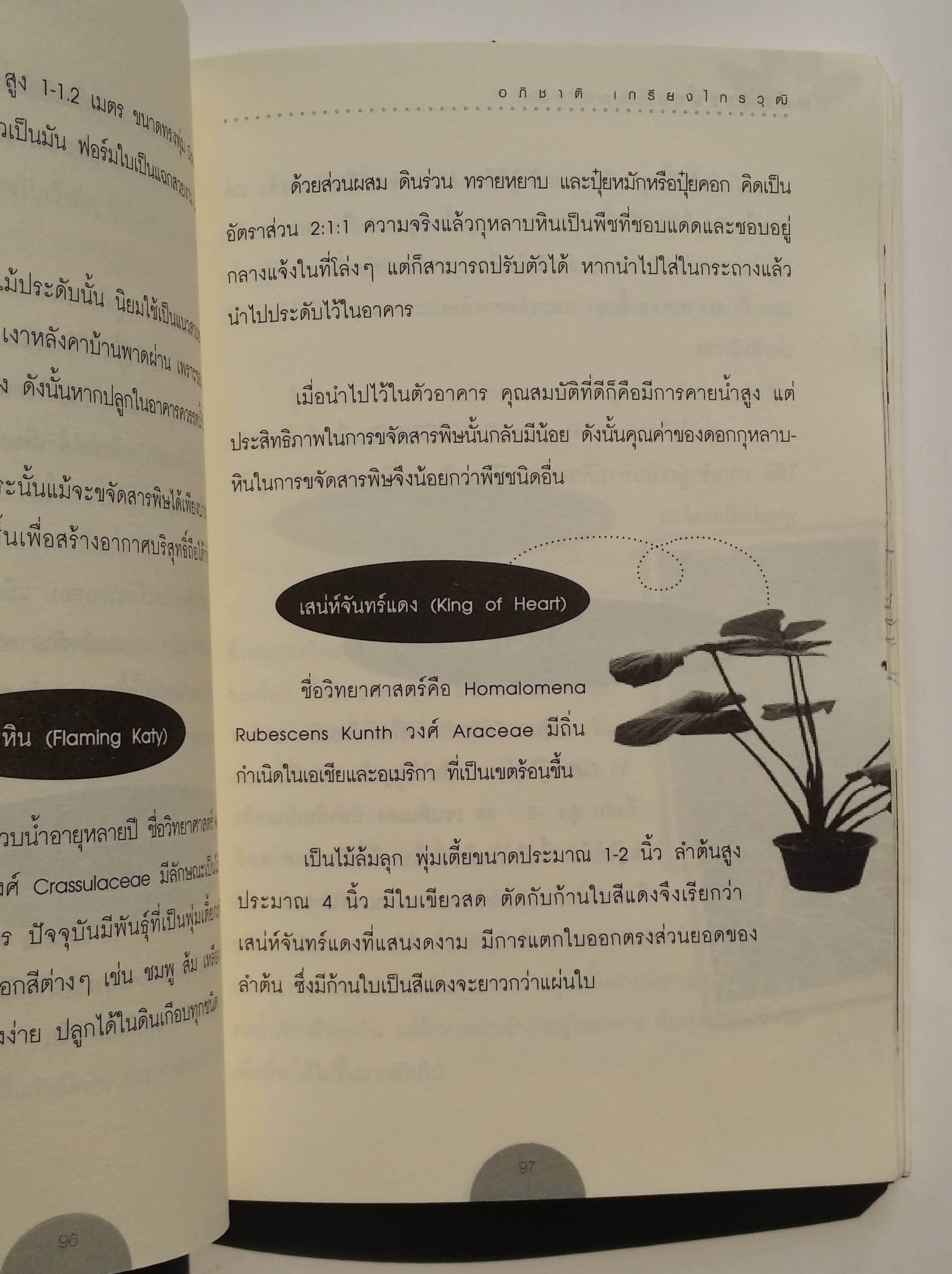 หนังสือมือสอง 286 หนังสือมหัศจรรย์ ต้มไม้ดูดสารพิษ ผักและผลไม้ ล้างพิษ สยบสารพัดโรคร้าย ไม้มงคลปลูกแล้วดี ปลูกแล้วรวย ปุ๋ยชีวภาพทำเอง และทำเป็นอาชีพให้รวยได้ ราคาปก 160.บาท