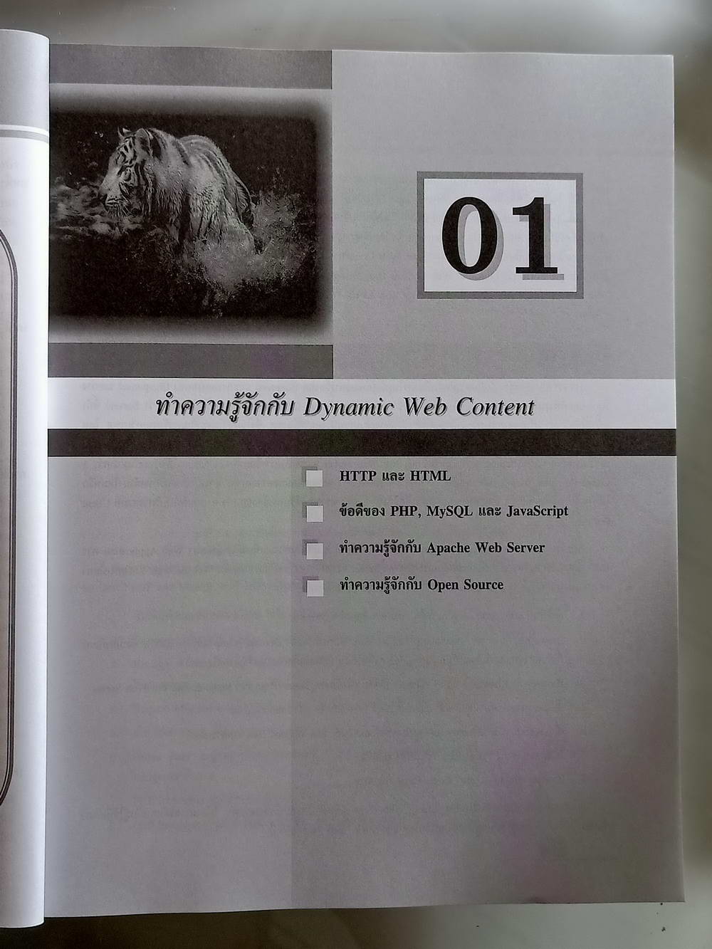 หนังสือมือสอง 162 "มือใหม่หัดใช้ PHP" ก่อนถึงเทคโนโลยีสำคัญที่เกี่ยวข้องกับการทำ web application แบบdynamic ความหนา 262 หน้า