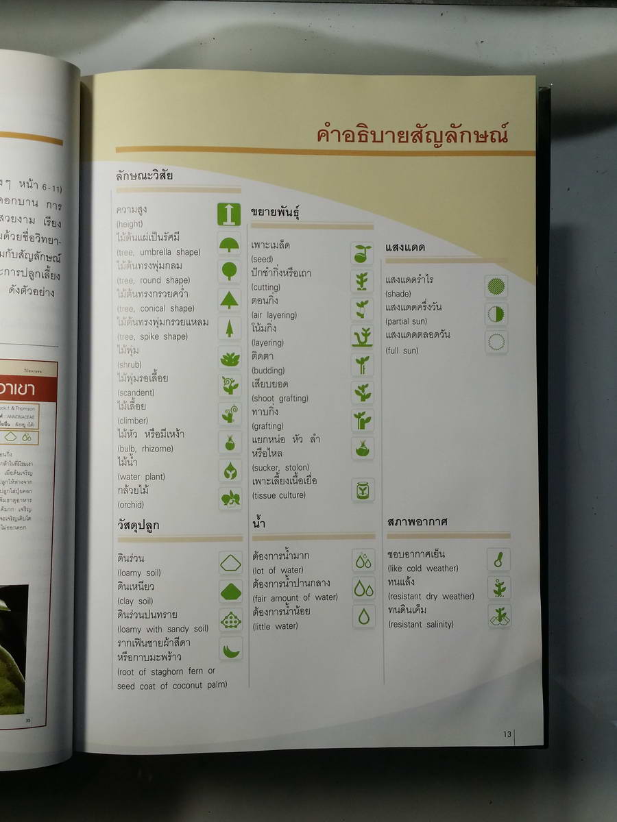 หนังสือมือสอง 265 ไม้ดอกหอม ฉบับปรับปรุง และเพิ่มเติม พิมพ์ครั้งที่ 6 ดร.ปิยะ เฉลิมกลิ่น ความหนา 351 หน้า ราคาหน้าปก 530 บาท พิมพ์ด้วย กระดาษอาร์ตมัน 4 สีทั้งเล่ม