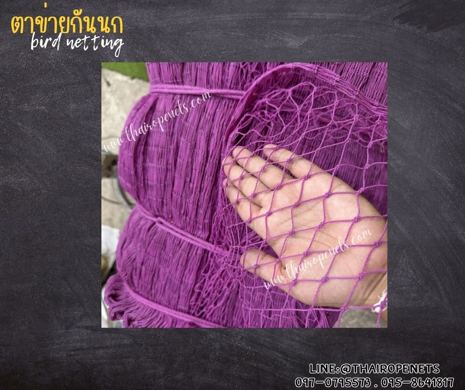 ตาข่ายกันนกบนคอนโด bird netting สีม่วง รุ่นหนา 1.5 มิล ช่องตา 1x1 นิ้ว เคลือบสารป้องกัน UV ทนแดด ทนฝน ใช้งานได้ยาวนาน