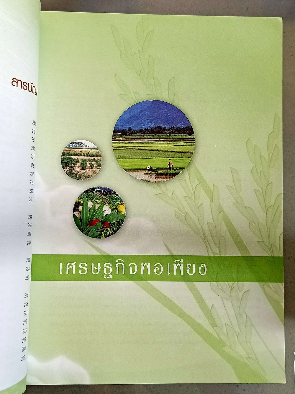 หนังสือมือสอง 080 120 อาชีพเกษตรกรรมทางเลือก ความหนา 286 หน้า หนังสือเล่มนี้ขายแล้ว