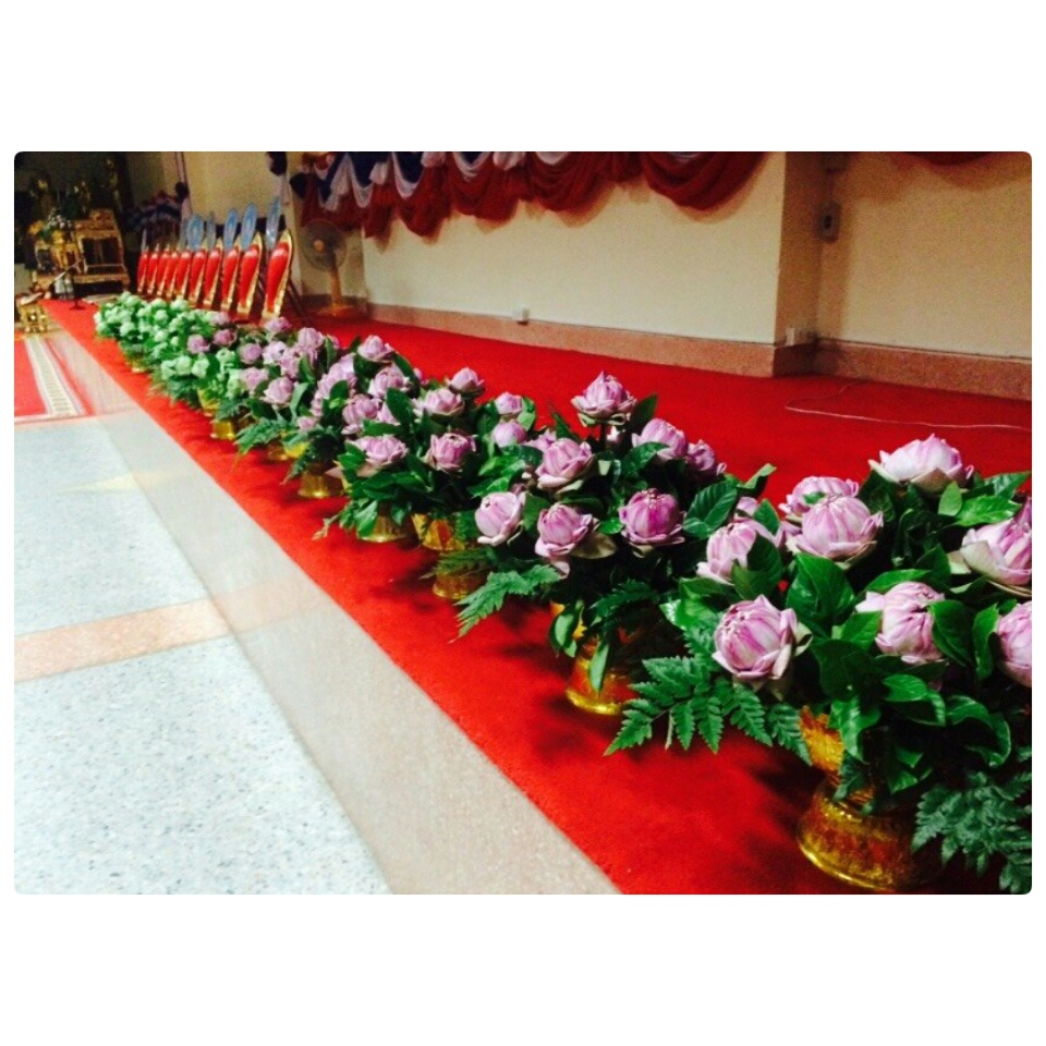 ดอกหน้าตั้งหน้าพระพุทธ