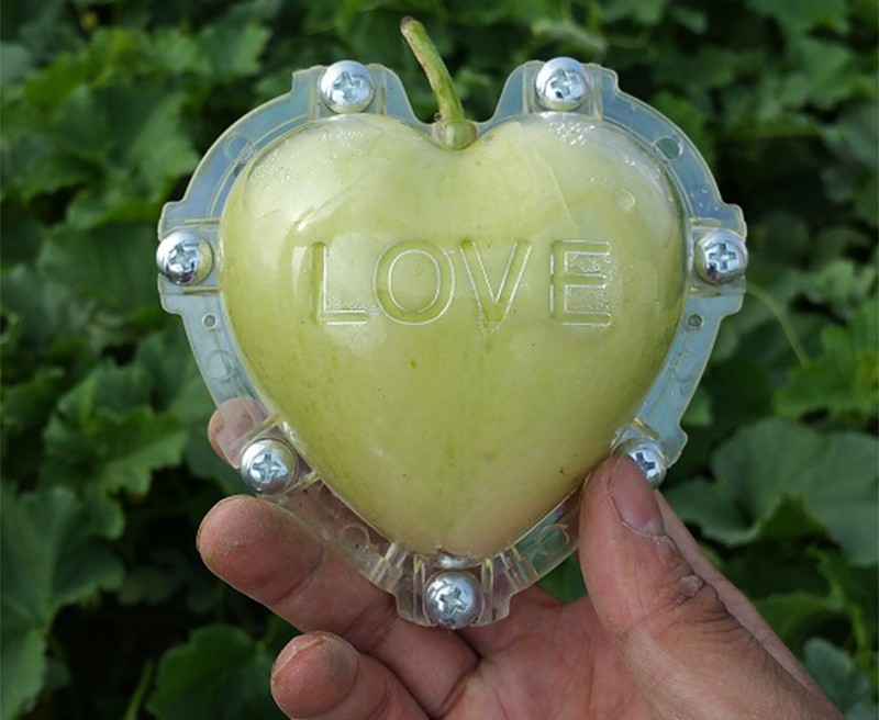 OT35A6 แม่พิมพ์บังคับผลไม้รูปหัวใจ 9x9x6 CM ผลไม้ขนาดกลาง