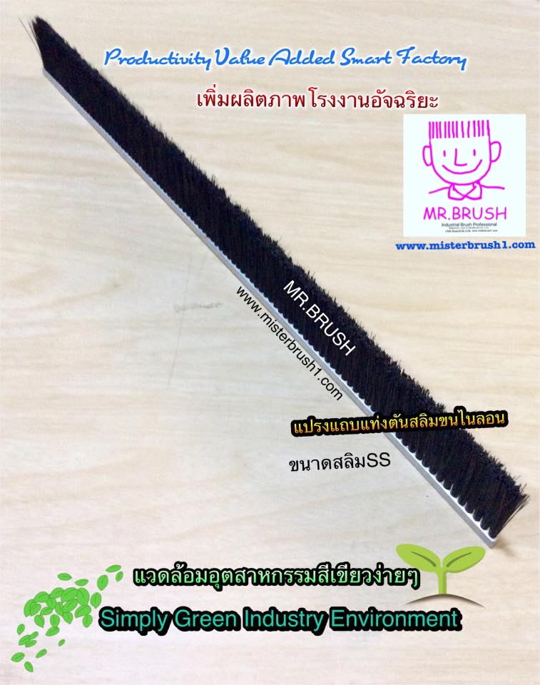 แปรงแถบแท่งตันไตรวิศวะ