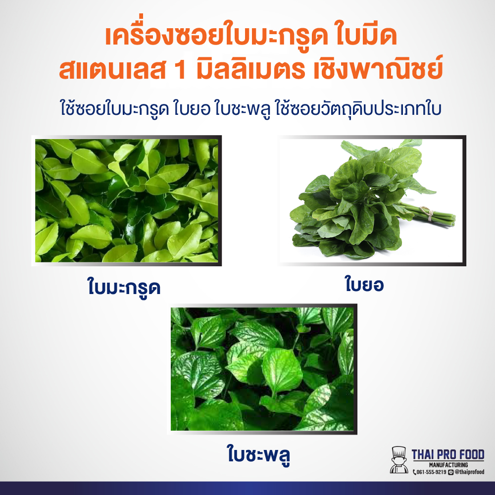 เครื่องซอยใบมะกรูด ใบมีดสแตนเลสเกรดอาหาร ขนาดที่ซอยได้ 1 มิลลิเมตร เชิงพาณิชย์