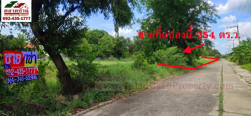 ที่ดิน 254 ตร.ว. คลอง 2 ซ.บงกช 40 ซ.รังสิต-นครนายก 31 ปทุมธานี ที่ดินหน้ากว้าง 36 เมตร ติดถนนคอนกรีต