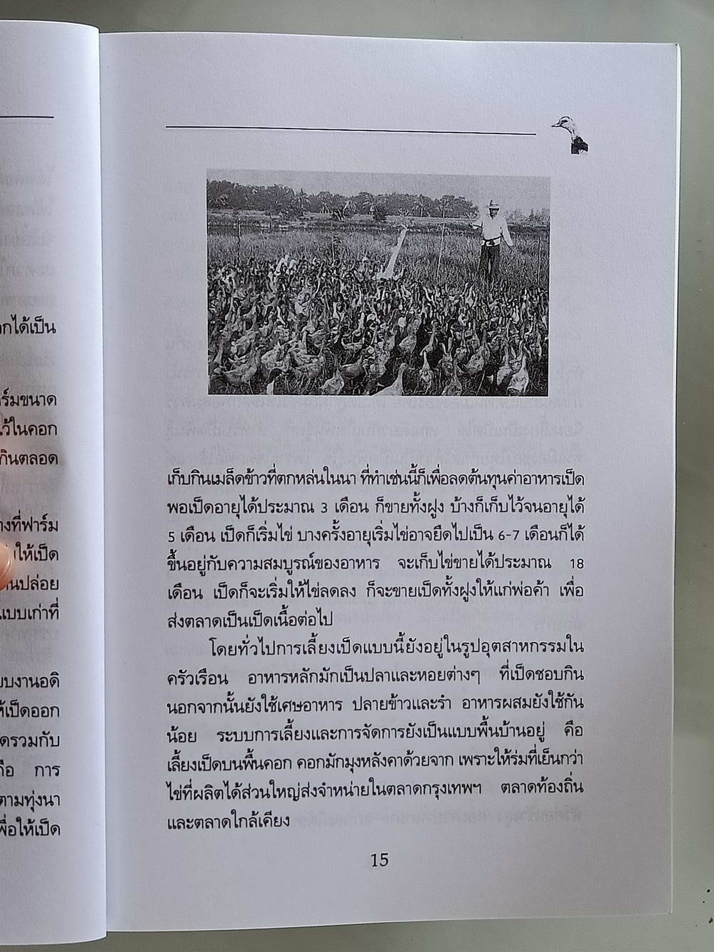 หนังสือมือสอง 169 "ความรู้เกี่ยวกับการเลี้ยงเป็ดไข่" โครงการหนังสือเกษตรชุมชนความหนา 192 หน้า