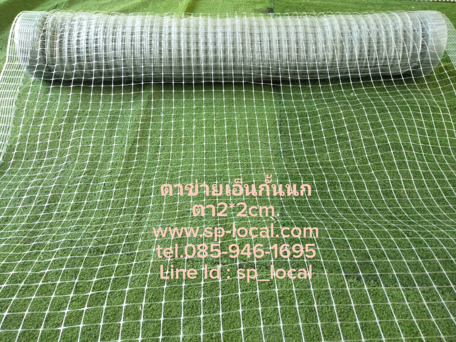 ตาข่ายเอ็นกันนก สีใส