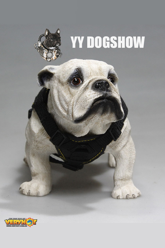 VERYHOT NO:1045 Dogshow