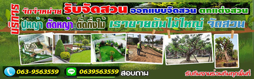 A88 ปลูกหญ้า คุณวิ