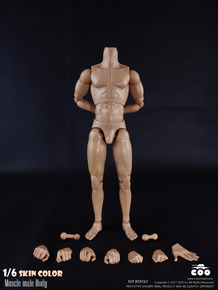 COOMODEL BD009 Standard Muscle Arm Body