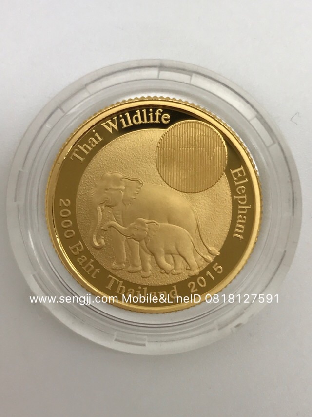 เหรียญกษาปณ์ทองคำขัดเงาที่ระลึก ช้างไทย แม่ลูก (ชุด 3 เหรียญกล่องแยก) พ.ศ.2559