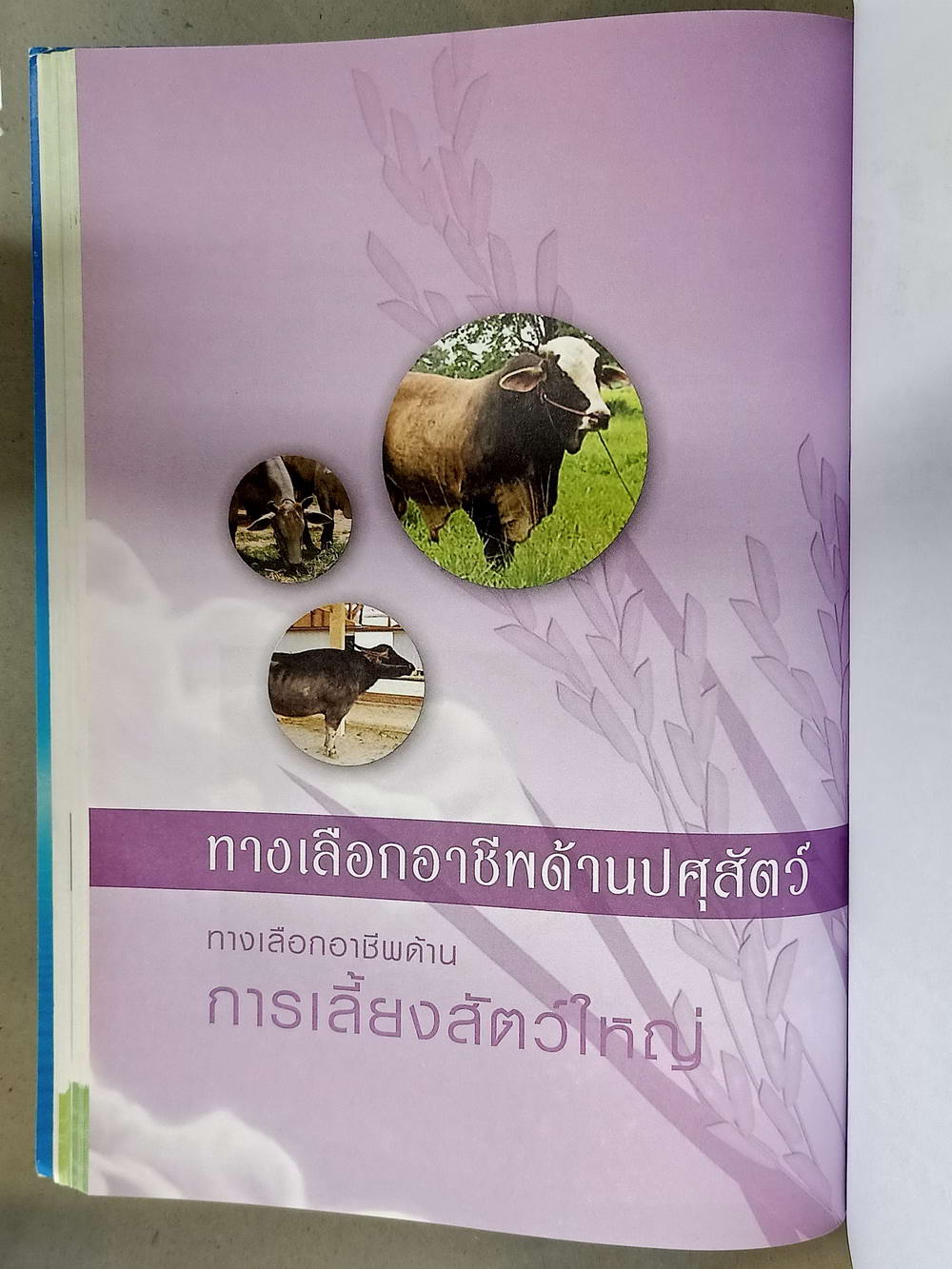 หนังสือมือสอง 080 120 อาชีพเกษตรกรรมทางเลือก ความหนา 286 หน้า หนังสือเล่มนี้ขายแล้ว