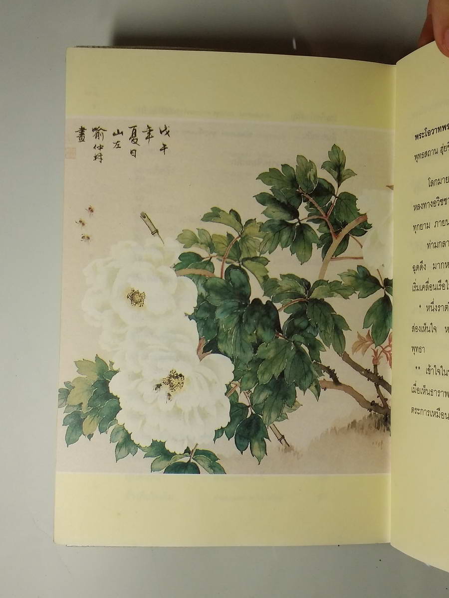 หนังสือมือสอง 247 เพลงธรรม 4 แสงจ้าเกิด ด้วยเข้าใจ จิตเดิม รู้ญาณจริง กายและใจว่าง พลัน กำเนิดพลังอัน แยบยล