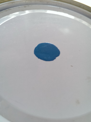สีพ่น นกแก้ว 101