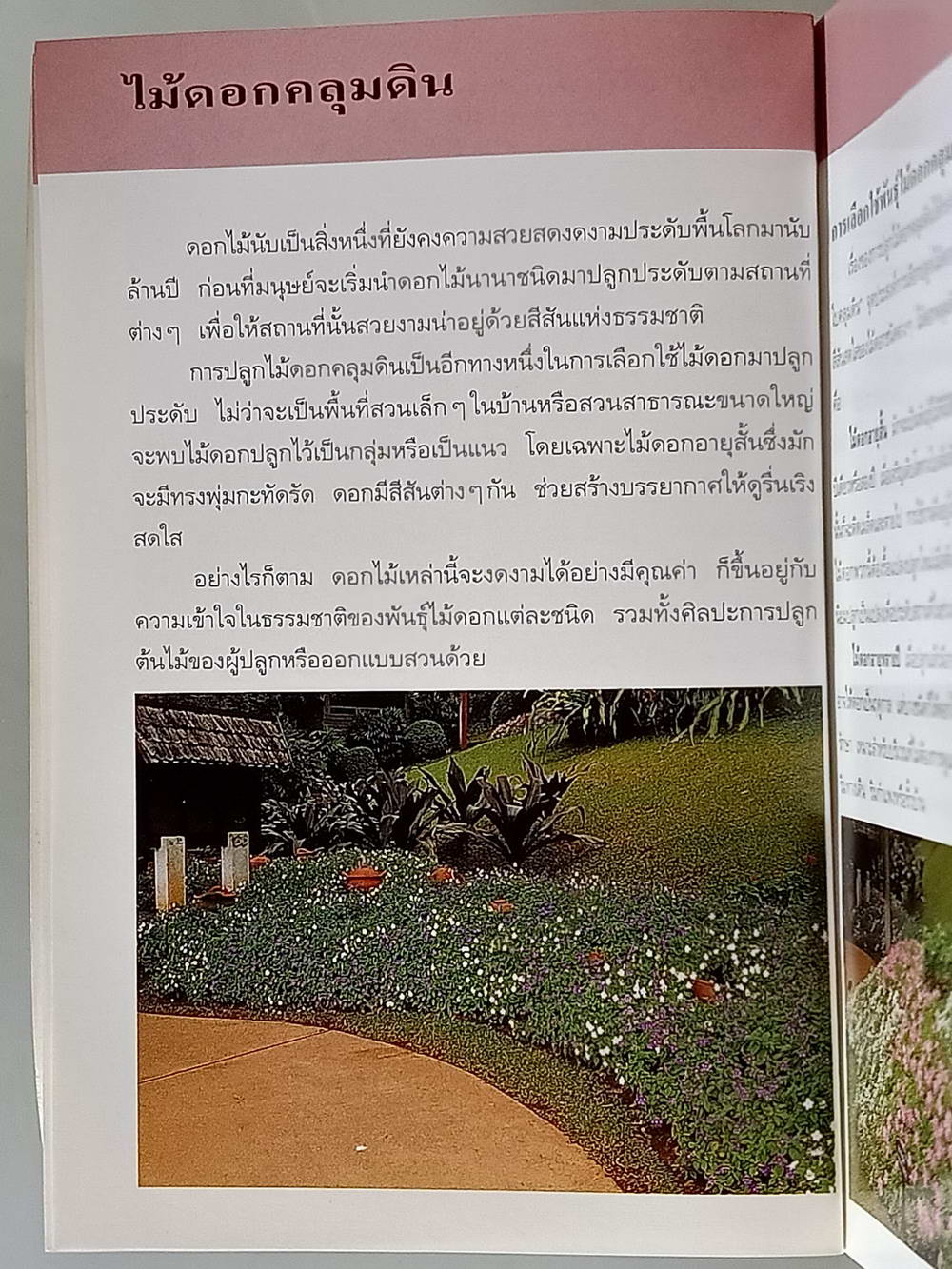 หนังสือมือสอง 171 "คู่มือคนรักต้นไม้ไม้ดอกคลุมดิน" แนะนำถึงประเภทของไม้ดอกคลุมดิน วิธีการปลูก ขยายพันธุ์และการดูแล ความหนา 95 หน้า