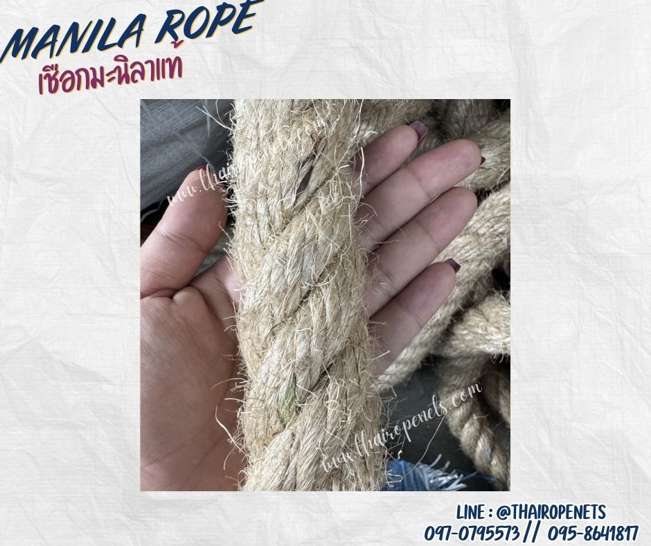 เชือกกีฬาปีนเขา ขนาด 38 มิล ยาว 200 เมตร เชือกมะนิลาแท้ 100% Manila rope เชือกลากเรือ เชือกทำชิงช้า พร้อมส่ง