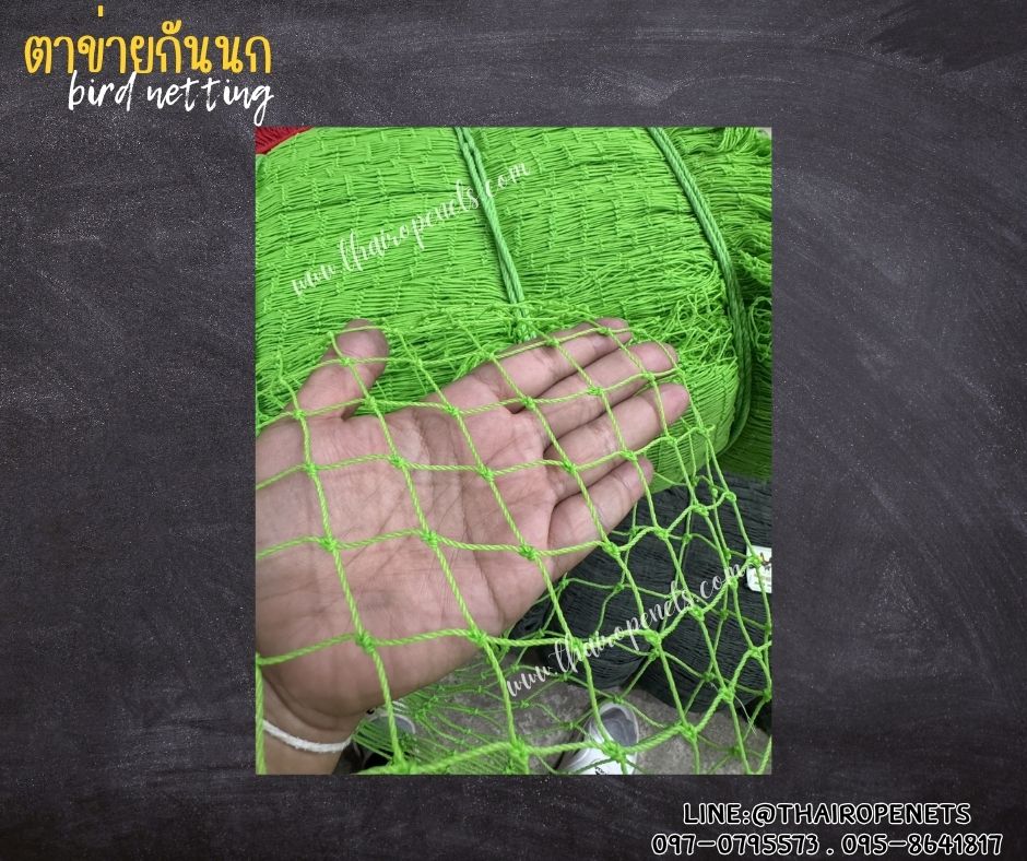 ตาข่ายกันนกเข้าแปลงผัก bird netting สีเขียว รุ่นหนา 1.5 มิล ช่องตา 1x1 นิ้ว เคลือบสารป้องกัน UV ทนแดด ทนฝน ใช้งานได้ยาวนาน