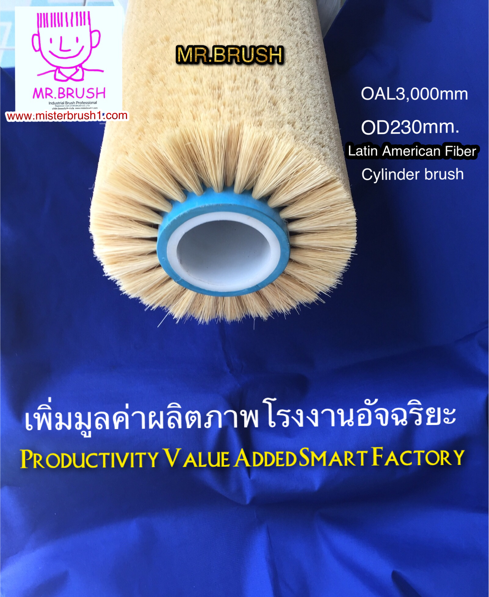 แปรงกระบอกใยพืชเม็กซิกัน