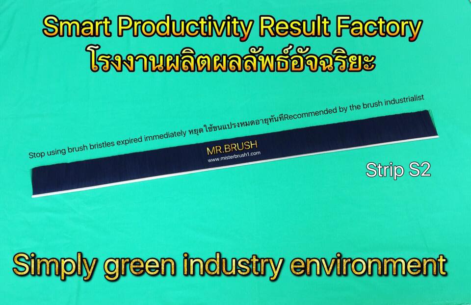 แปรงแถบบางบาง