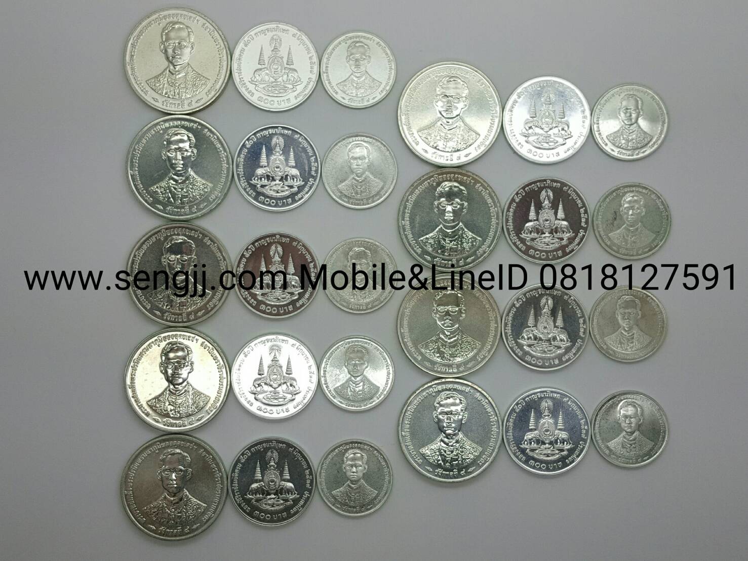 เหรียญกษาปณ์เงิน 50 ปี ครองราชย์ กาญจนาภิเษก พ.ศ.2539 ครบชุด