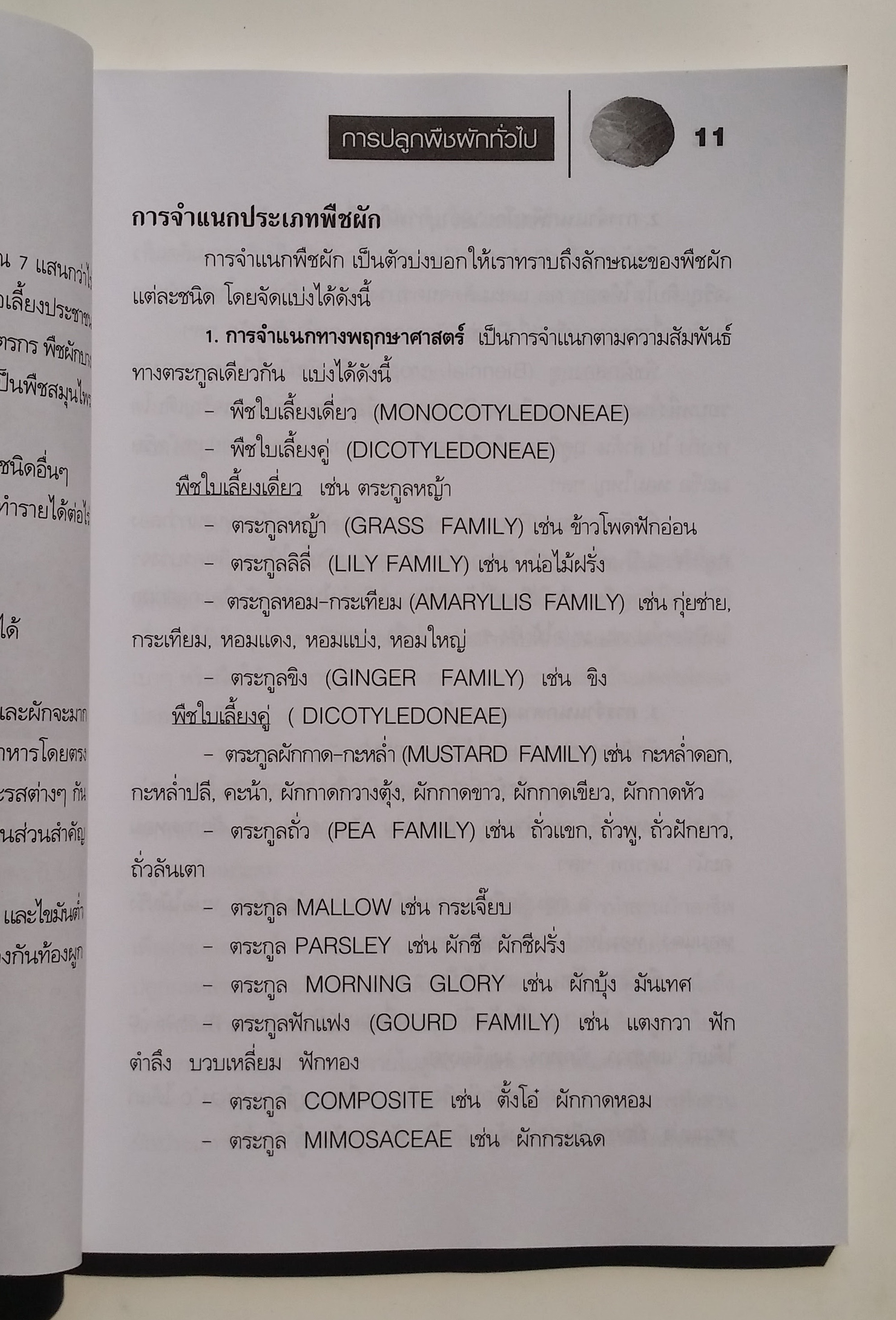 หนังสือมือสอง 288 การปลูก พืชพักทั่วไป โดยวิเชษฐ ค้าสุวรรณ พืชผักจัดเป็นพืชลัมลุก อายุารเก็บเกี่ยวสั้น ให้ผลผลิตต่อไร่สูงกว่าพืชชนิดอื่นๆ ราคาปก 135.บาท หนังสือเล่มนี้ ขายแล้ว