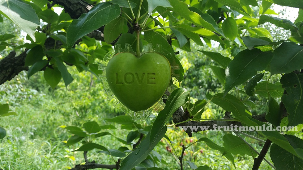 OT35A6 แม่พิมพ์บังคับผลไม้รูปหัวใจ 9x9x6 CM ผลไม้ขนาดกลาง