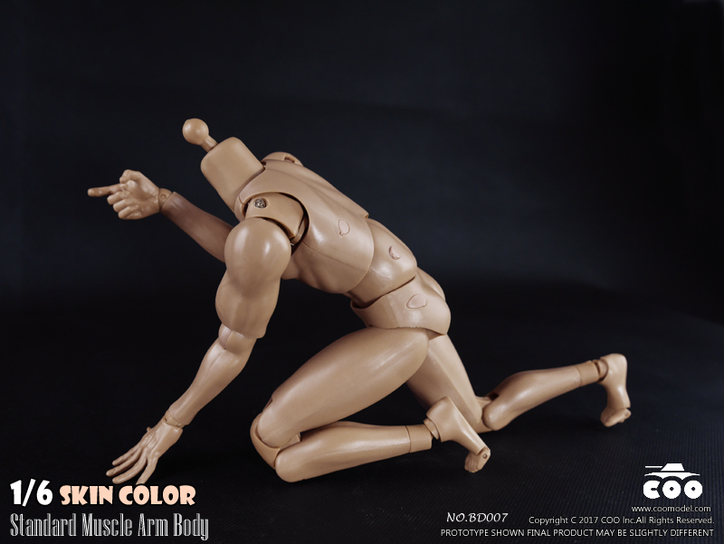 COOMODEL BD007 / BD008 Standard & High Standard Muscle Arm Body