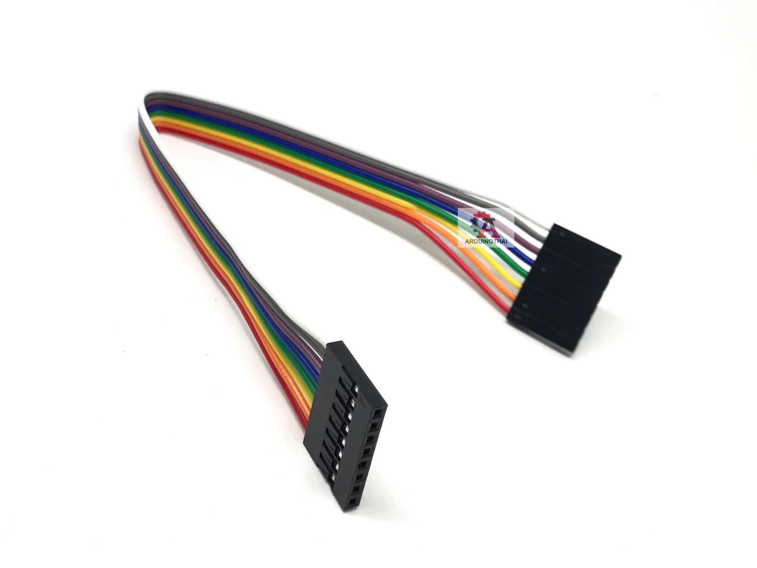 สายไฟ สายจั๊ม เมีย-เมีย Jumper 8 pin 20 cm (คละสี)