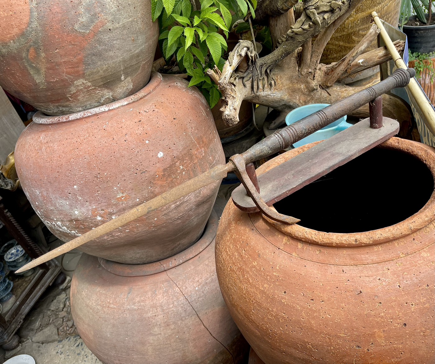 ขอสับช้างโบราณ คชกุศ ตะขอสับช้าง